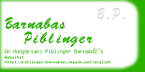 barnabas piblinger business card